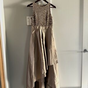 Adrianna Papell Beaded Hi-Low A-Line Gown